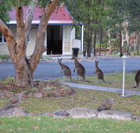 31 The Rocks - eTourism Australia