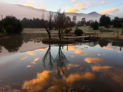 Acheron Acres Riverside - eTourism Australia 2