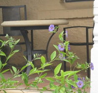 Amalie Cottage Waikerie - eTourism Australia