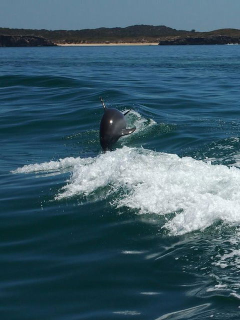 Anchorage Guest House And Self-contained Accommodation - eTourism Australia 1