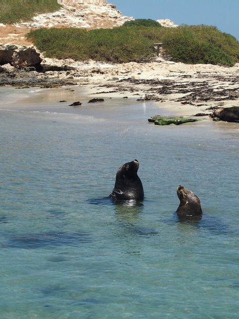 Anchorage Guest House And Self-contained Accommodation - eTourism Australia 3