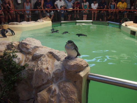 Anchorage Guest House And Self-contained Accommodation - eTourism Australia 2