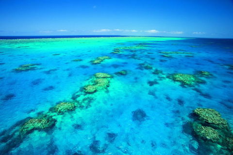 NRMA Cairns Holiday Park - eTourism Australia 1