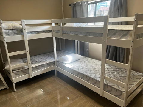 Palm Hamilton Backpacker - eTourism Australia 3