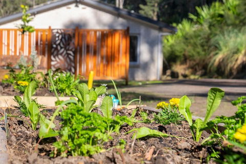 Pure Valley Estate - eTourism Australia 3