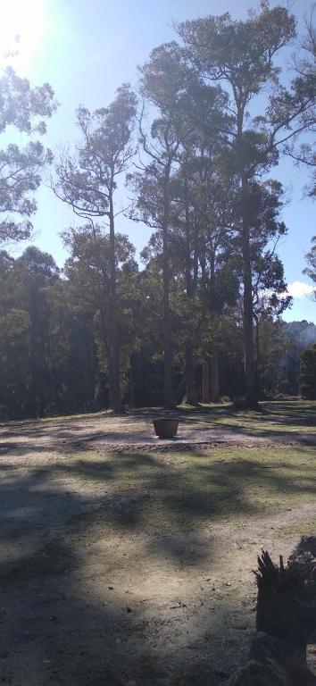 Rail Trail Retreat - eTourism Australia 2