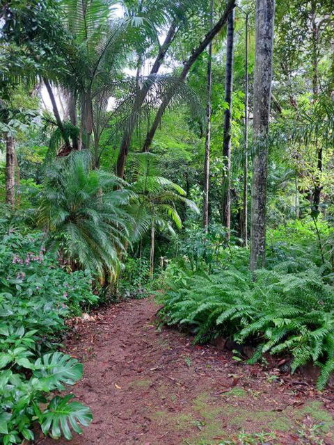 Rainforest Retreat-Fireplace-BBQ-3 Acres- - eTourism Australia 0