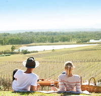 Audrey Wilkinson Vineyard - eTourism Australia