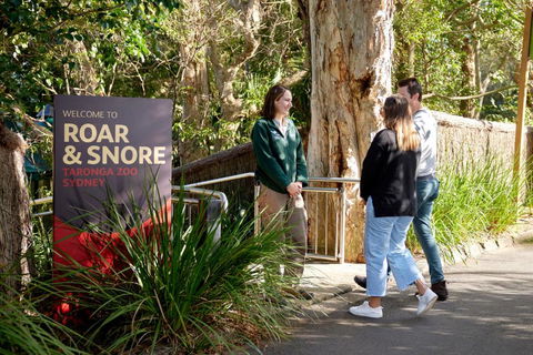 Roar And Snore - eTourism Australia 1