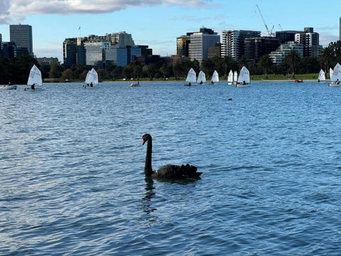 Sand & The City - eTourism Australia 2