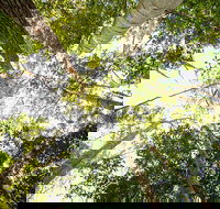 Fraser Island 4WD Tour from Noosa