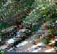 Fraser Island 4WD Tour from Rainbow Beach