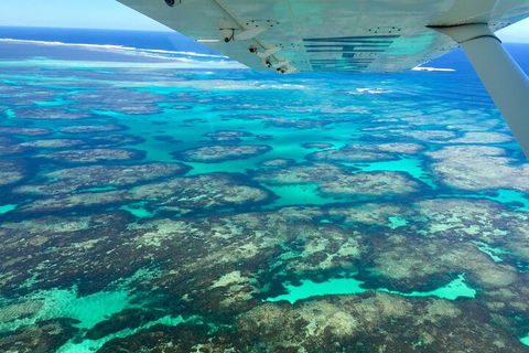 Kalbarri, Pink Lake And Abrolhos Islands Nature Tour - eTourism Australia 5