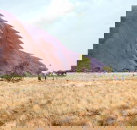 Uluru Sunrise and Guided Base Walk - eTourism Australia