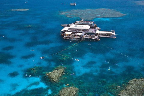 Quicksilver Outer Great Barrier Reef Snorkel Cruise From Palm Cove - eTourism Australia 1