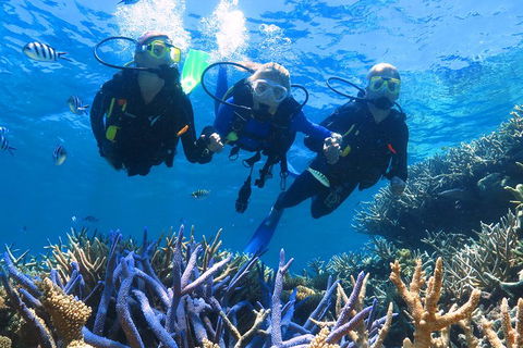 Quicksilver Outer Great Barrier Reef Snorkel Cruise From Palm Cove - eTourism Australia 3