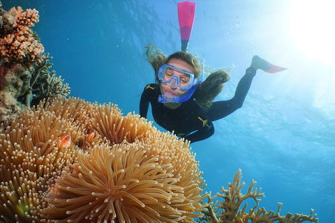 Quicksilver Outer Great Barrier Reef Snorkel Cruise From Port Douglas - eTourism Australia 2