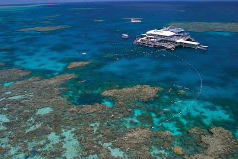 Quicksilver Outer Great Barrier Reef Snorkel Cruise From Port Douglas - eTourism Australia 3