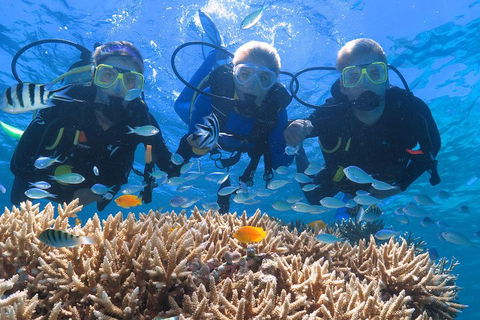 Quicksilver Outer Great Barrier Reef Snorkel Cruise From Port Douglas - eTourism Australia 4