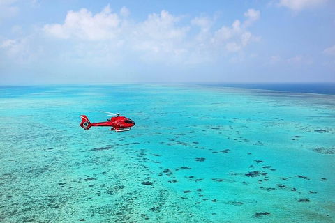 Ultimate Great Barrier Reef And Rainforest 45-minute Helicopter Tour - eTourism Australia 2