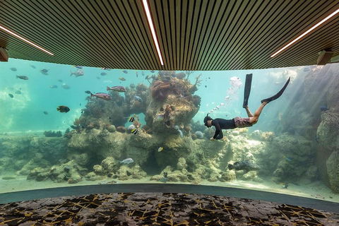 Whitehaven Beach And Daydream Island Cruise - eTourism Australia 4