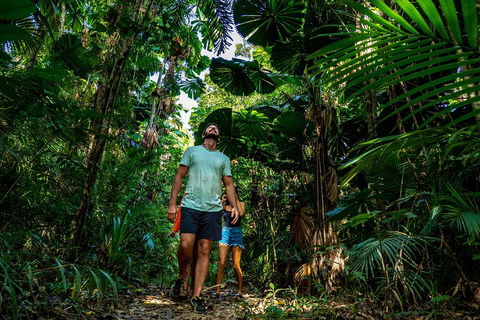 Full Day Daintree Rainforest And Mossman Gorge Tour - eTourism Australia 0