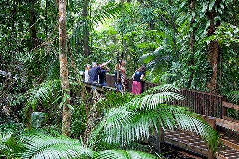 Full Day Daintree Rainforest And Mossman Gorge Tour - eTourism Australia 1