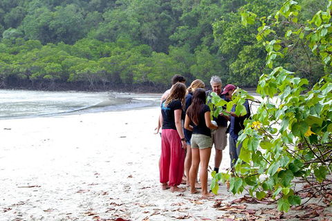 Full Day Daintree Rainforest And Mossman Gorge Tour - eTourism Australia 2