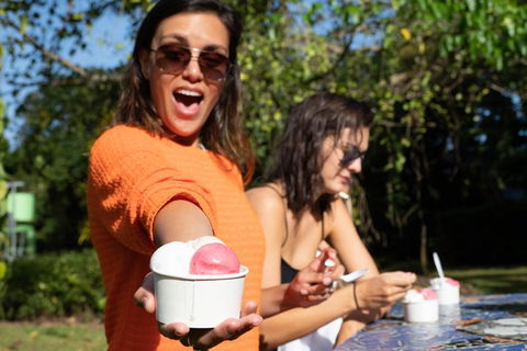 Full Day Daintree Rainforest And Mossman Gorge Tour - eTourism Australia 3