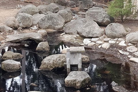 Bendigo, Echuca & The Mighty Murray - eTourism Australia 1