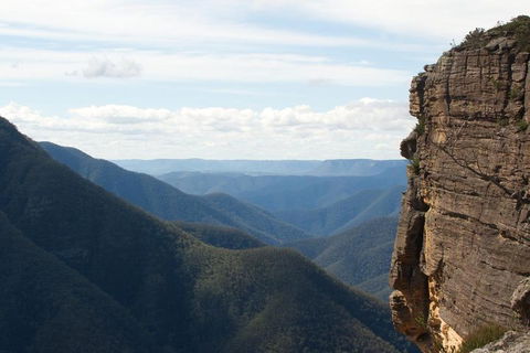 Inside The Greater Blue Mountains World Heritage - A Wildlife Safari Overnight - eTourism Australia 4
