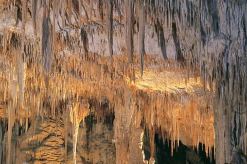 Margaret River, Caves, Wine And Cape Leeuwin Lighthouse Tour From Perth - eTourism Australia 3