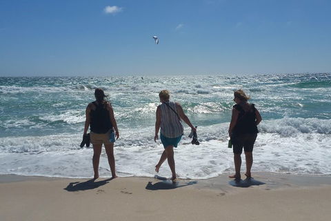 Very Best Of Perth Tour - Wildlife Park & City Highlights Tour - eTourism Australia 5