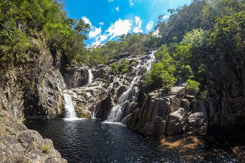 Behana Canyon Rainforest And Waterfall Experience - eTourism Australia 5