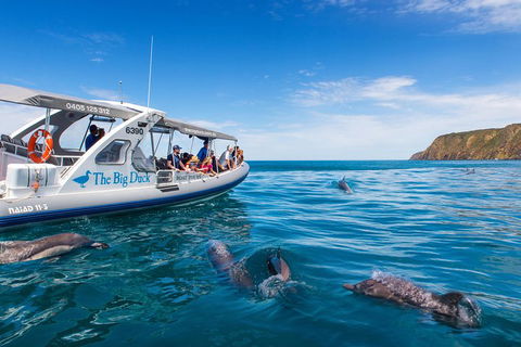 Victor Harbor And McLaren Vale Wine Region Day Tour - eTourism Australia 1