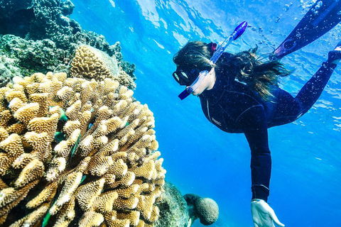 Green Island Day Trip From Cairns - eTourism Australia 1