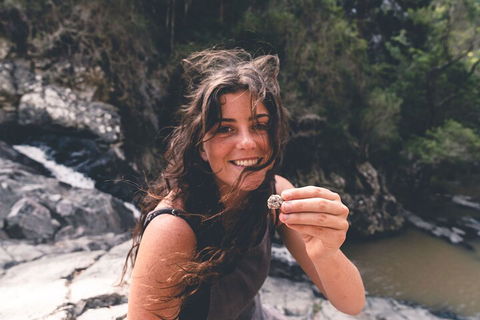 Springbrook AndTamborine Rainforest Tour Incl Natural Bridge And Glow Worm Cave - eTourism Australia 1