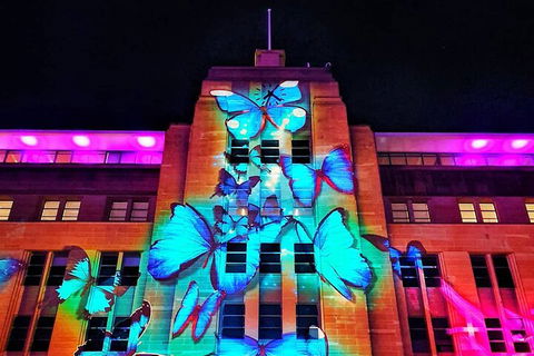 Vivid 90-Minute Sydney Harbour Small Group Catamaran Cruise - eTourism Australia 0